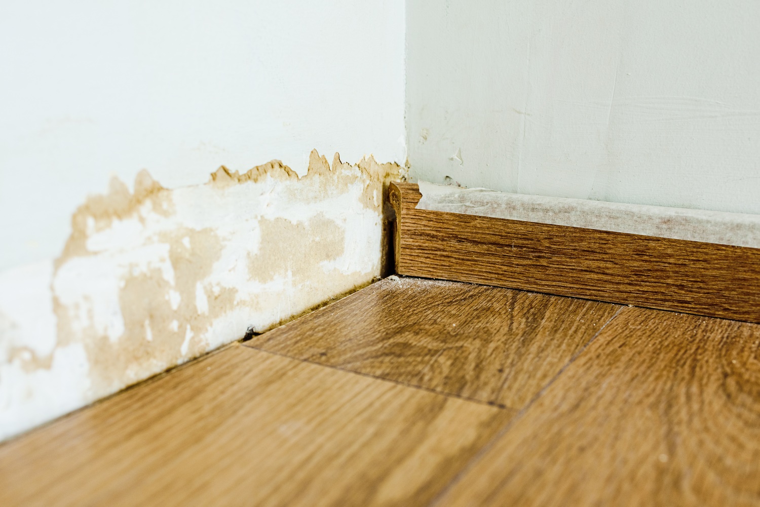 Signs Of Water Damage In Your House