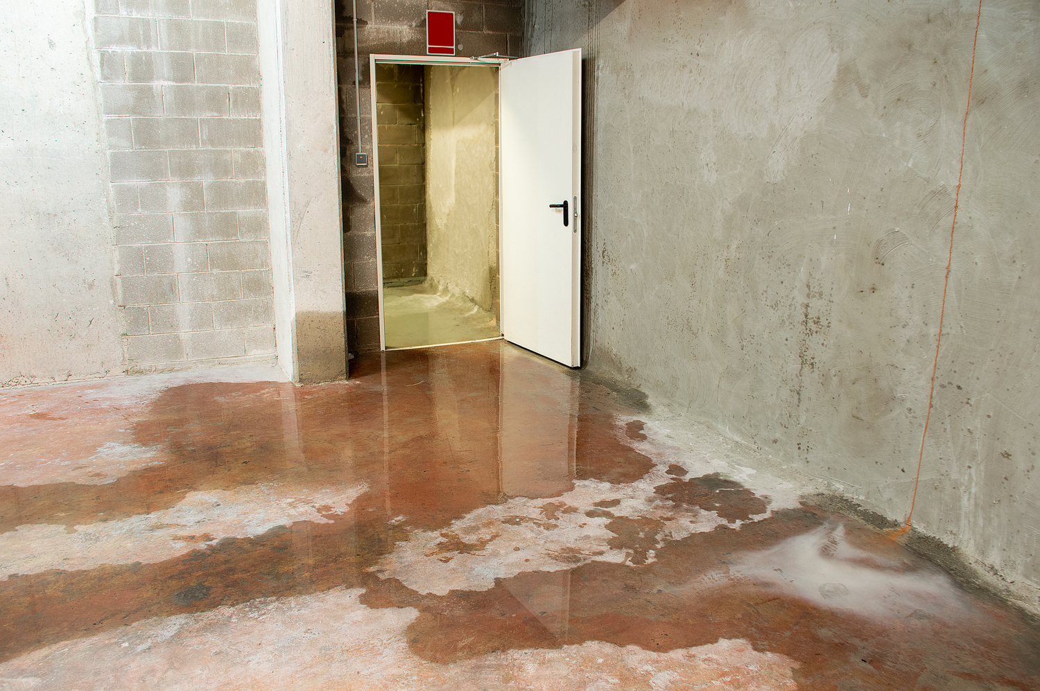 Basement Water Damage – What You Need to Know
